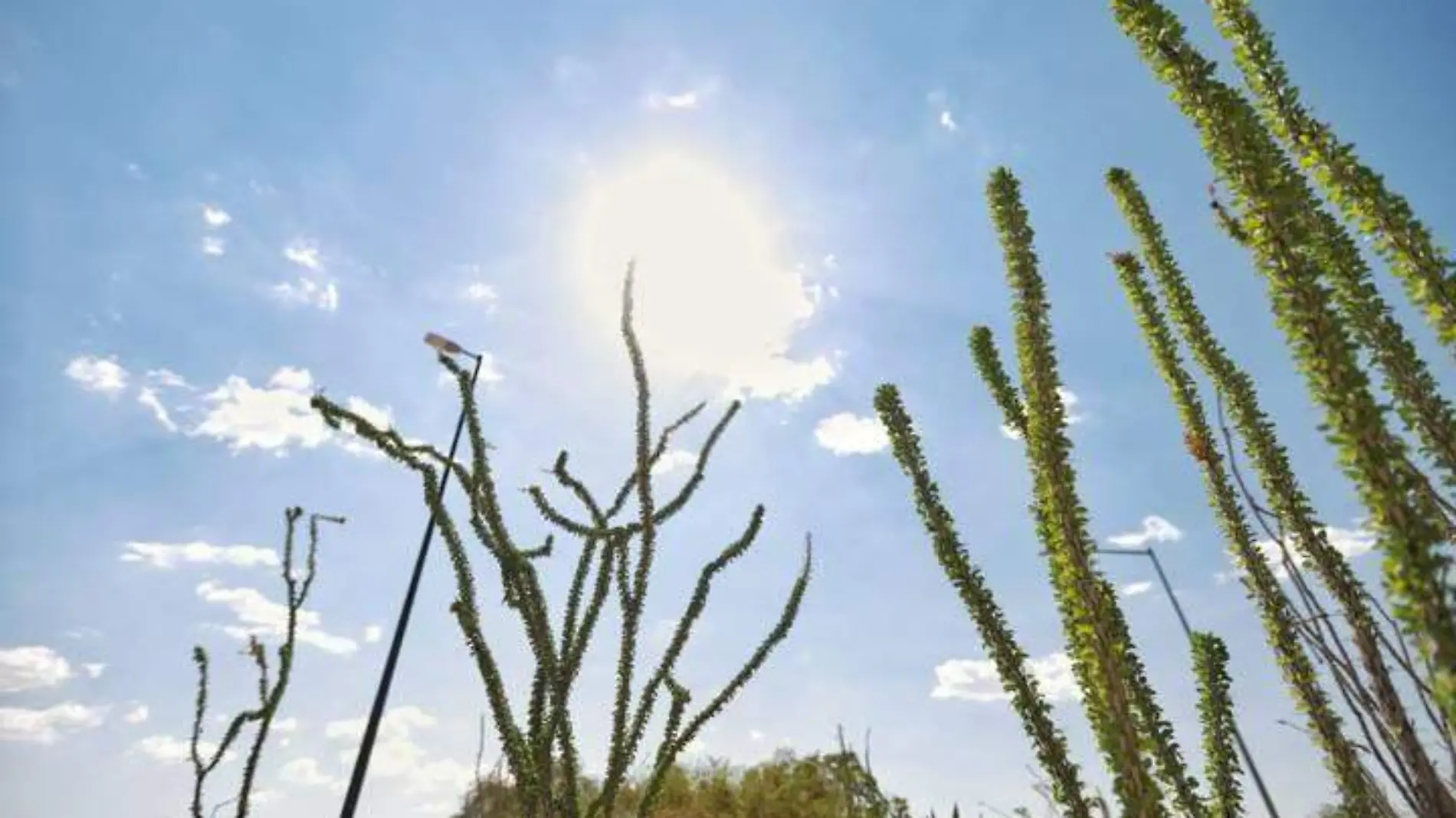 calor en ciudad juarez